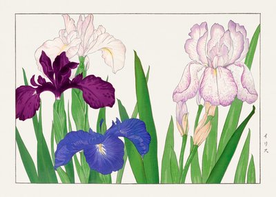  by Tanigami Konan
