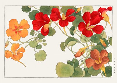  by Tanigami Konan