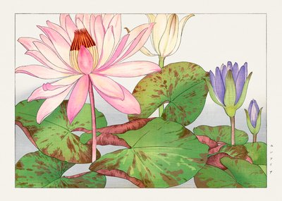 by Tanigami Konan