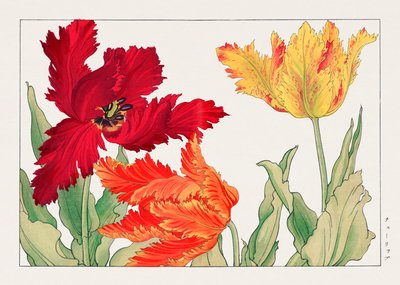  by Tanigami Konan