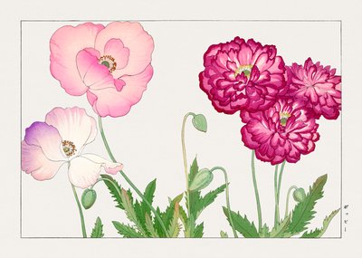  by Tanigami Konan