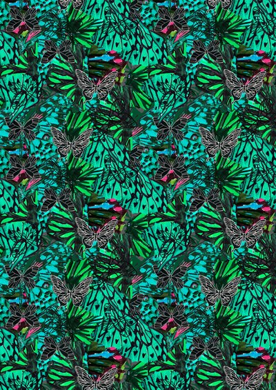 papillon by Tara Whitehead