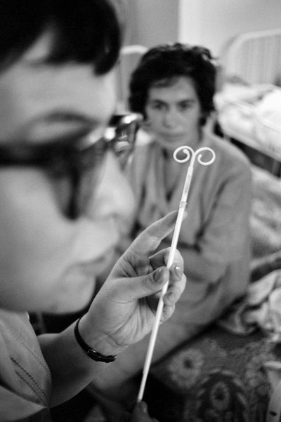  by Ted Spiegel