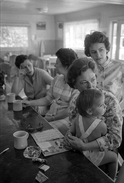  by Ted Spiegel