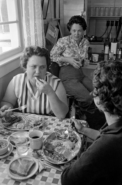  by Ted Spiegel