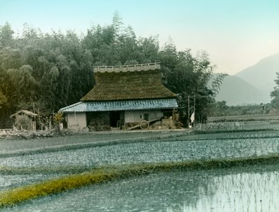  by Teijiro Takagi