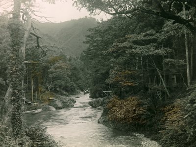 Yamanaka bölgesinde sonbahar ormanı, 1900 - 1915 civarı (fotoğraf) by Teijiro Takagi