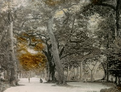 Shimogamo Parkı