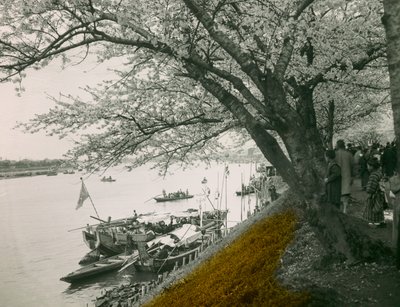  by Teijiro Takagi