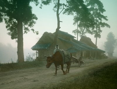  by Teijiro Takagi