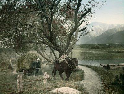  by Teijiro Takagi