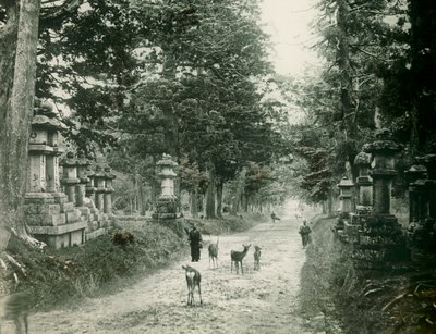  by Teijiro Takagi