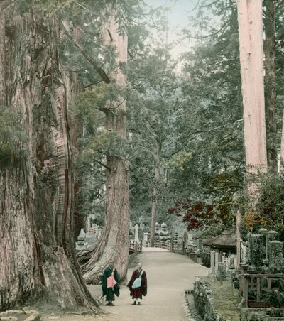  by Teijiro Takagi