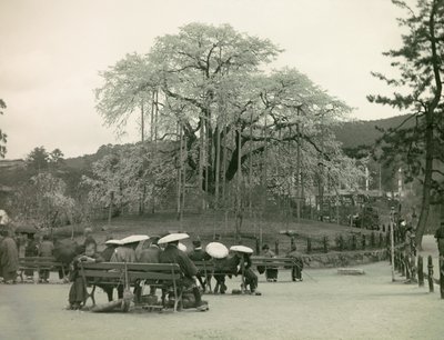  by Teijiro Takagi