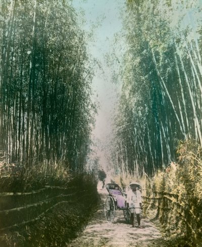  by Teijiro Takagi