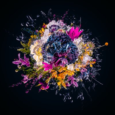 Buket III, 2018 (Tuval üzerine kolaj) by Teis Albers