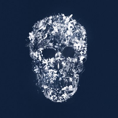 FloralSkull, 2018 (tuval üzerine karışık teknik) by Teis Albers