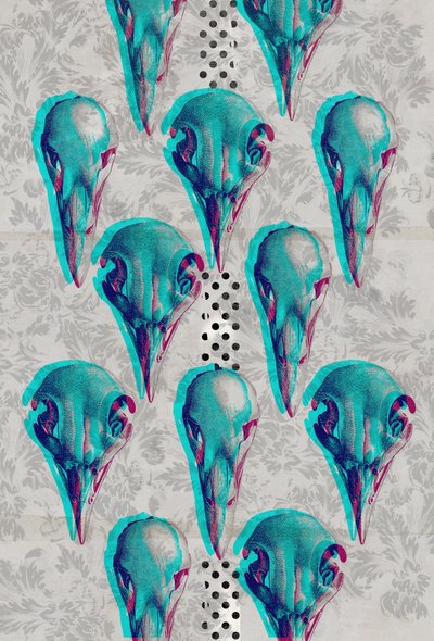 Kafatasları Serisi, 2016 (Tuval üzerine kolaj) by Teis Albers