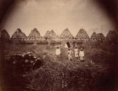 El Palacio de las Palomas, Uxmal (Güvercinler Sarayı, Uxmal),1893 (fotoğraf) by Teoberto Maler