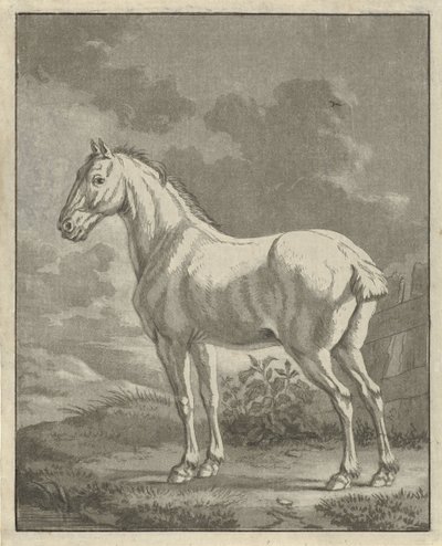 Çayırda kalıp by Tethart Philip Christian Haag