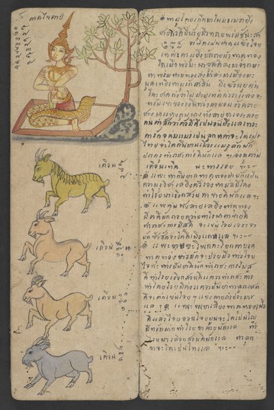 Veya 16455 f.5r, Zodyak
