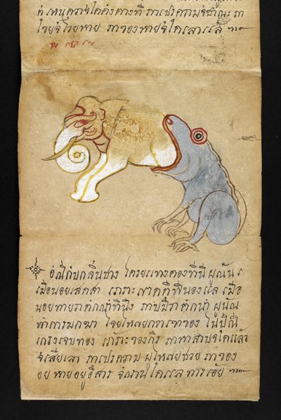 Veya. 16482, f.12 Fil yiyen kurbağa, 