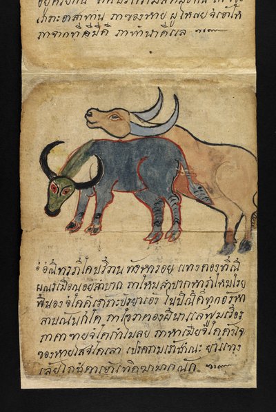 Veya. 16482, f.15 