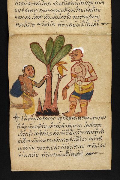 Veya. 16482, f.21 