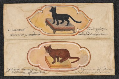 Siyam Kedileri, Fol. 1: iş ve servet birikimini desteklemek için iki şanslı kedi, Veya. 16797, f.1 (parşömen) by Thai School