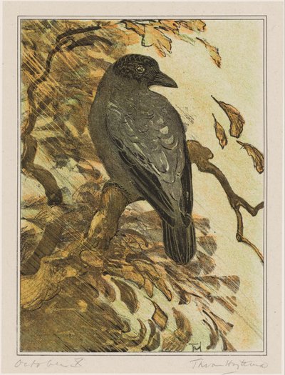 Dalda tüylü karga by Theo van Hoytema (signed by artist)