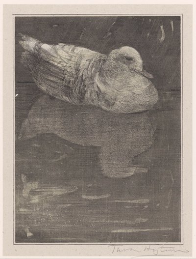 yüzen ördek by Theo van Hoytema (signed by artist)