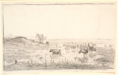 Mejlgaard