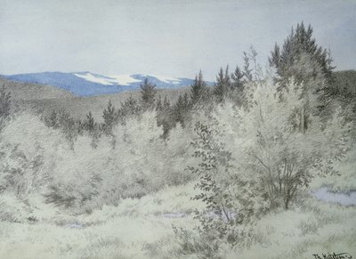 Çok uzaklarda ormanda by Theodor Severin Kittelsen