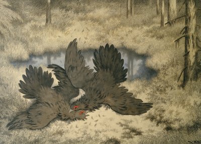 Orada trol kuş dövüşü by Theodor Kittelsen