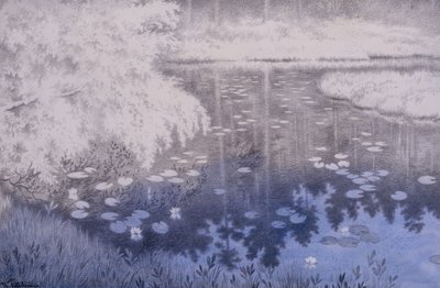 Svartebudalen