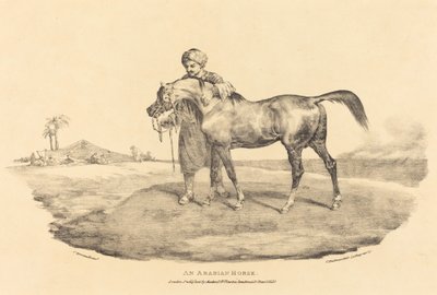 Bir Arap Atı by Theodore Gericault