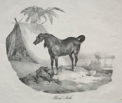 Arap atı by Theodore Gericault