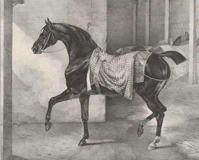 Bir Ahırda Bağlı Siyah At, 1822. by Theodore Gericault