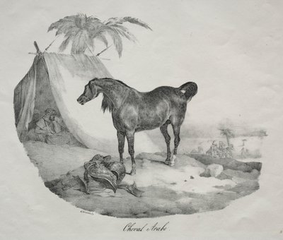 Arap atı. by Theodore Gericault