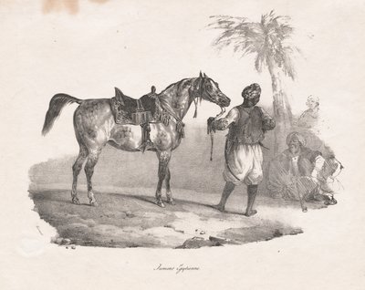 mısır kısrağı by Theodore Gericault