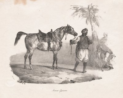  by Theodore Gericault