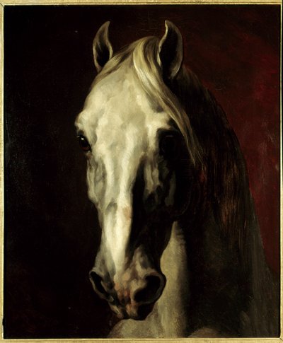 Beyaz atın başı. Theodore Gericault