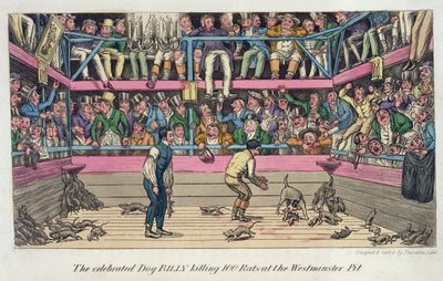 Westminster Pit