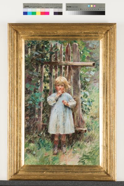 Bir Çapulcu by Theodore Robinson