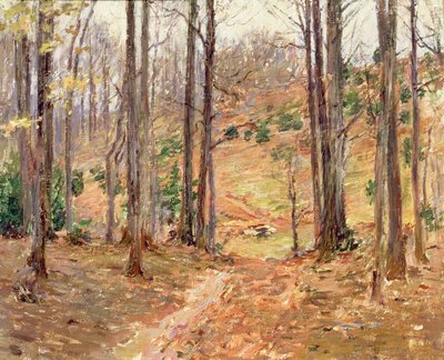 Virginia Ormanı, 1893 by Theodore Robinson