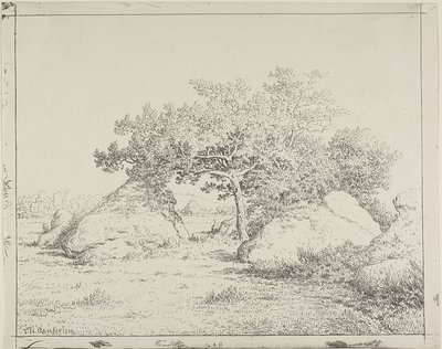 Plante à Biau