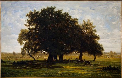 Chenes Grubu, Apremont. Theodore Rousseau
