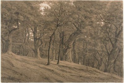  by Theodore Rousseau