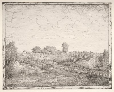 Biau'daki Bitki Ovası by Theodore Rousseau