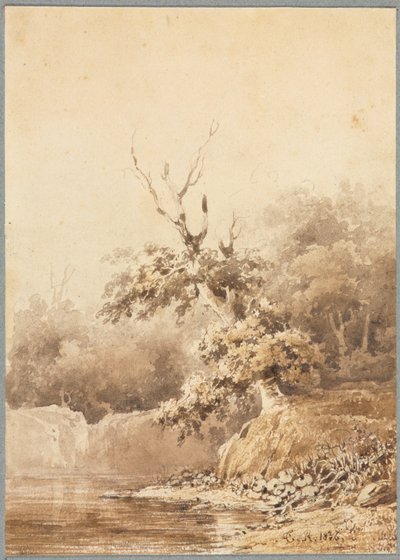 Manzara by Theodore Rousseau